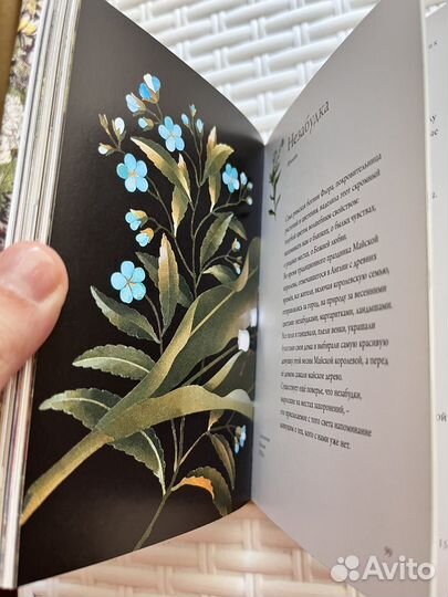 Любовь к ботанике