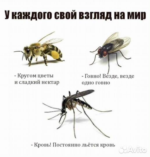 Москитная сетка. Москитные Сетки Плиссе