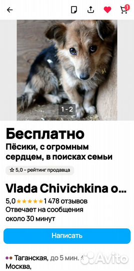 Подарите кусочек ласки и заботы