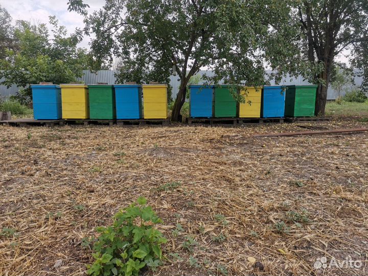 Пчелиная пасека