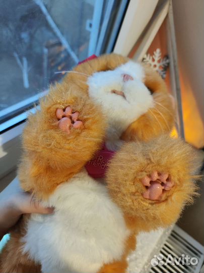 Котенок Daisy Furreal Friends