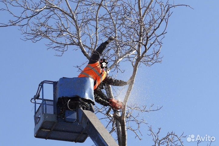 Спил деревьев (кронирование), иные высотные работы