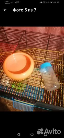 Клетка для мелких И средних грызунов