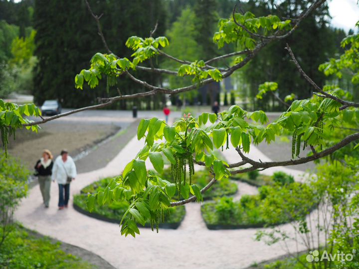 Цифровой фотоаппарат Olympus Camedia C-170/D-425