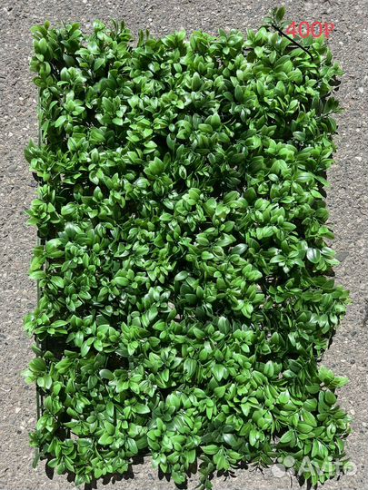 Трава искусственная самшит газон