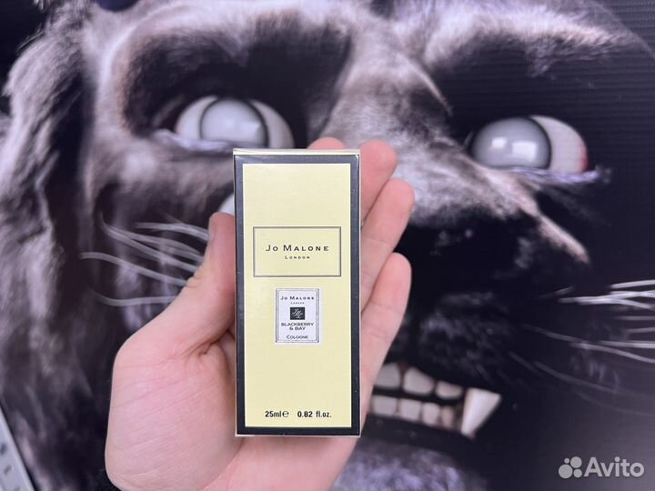 Jo malone blackberry bay