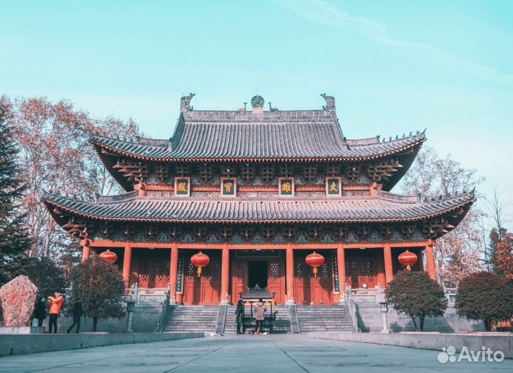 Репетитор по китайскому языку онлайн