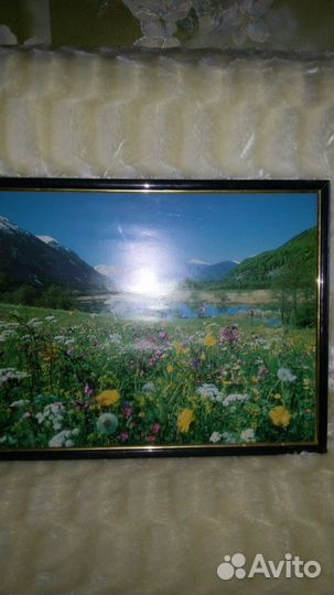 Картины 50*40