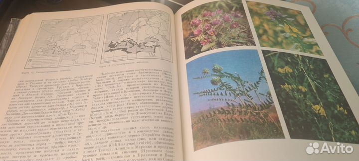 Энциклопедия