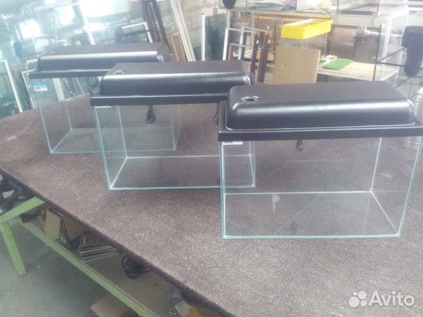 Аквариум с крышкой. Аквариумные рыбки. Растения