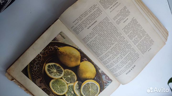 Книга о вкусной и здоровой пище 1954 год