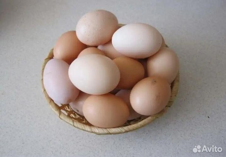 Домашние куриные яйца