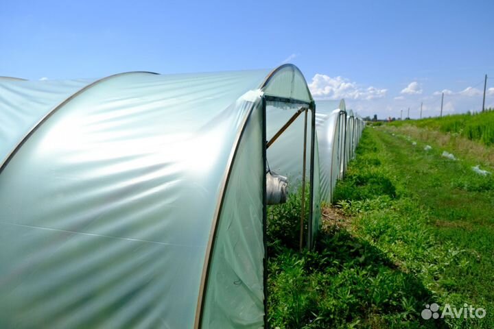 Пленка тепличная 6х50м 150 микрон