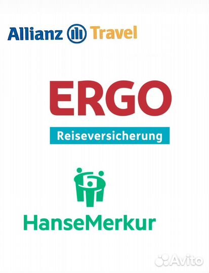 Шенгенская виза/Виза во Францию/Германию/Испанию