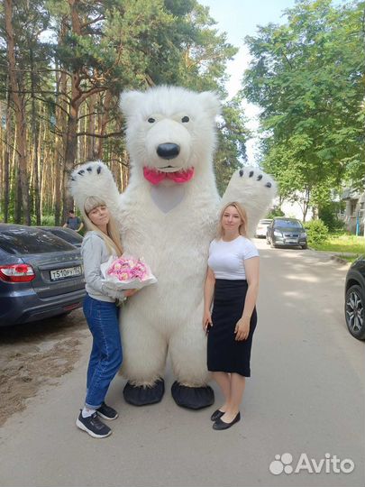 Ростовой медведь