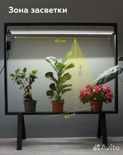 Фитолампа для растений