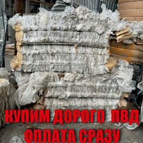 Прием картона и пленки, Махачкала