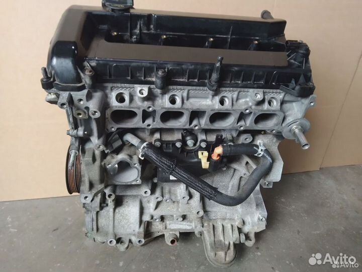 Двигатель Ford Focus 2 qqdb 1.8 125 л.с