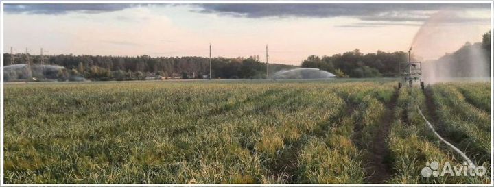 Привлекаем инвестиции до 50 проц годовых