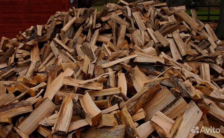 Дрова сегодня