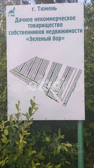 Участок 11 сот. (СНТ, ДНП)