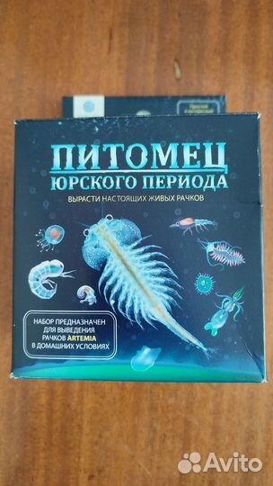 Детская игра. Набор для выращивания живых рачков