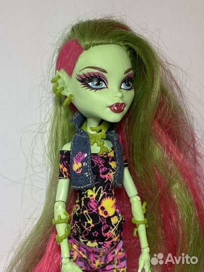 Венера макфлайтрап (базовая) 2009 год выпуска