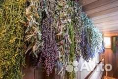 Душистые травы