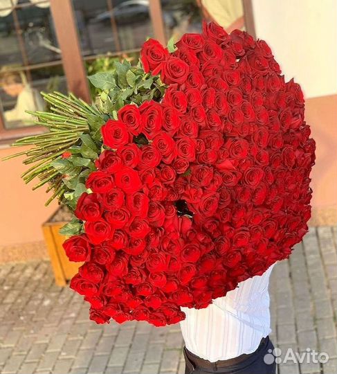 Высокие Розы с Доставкой