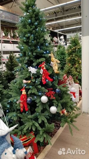 Ель натуральная 6 и 8 м