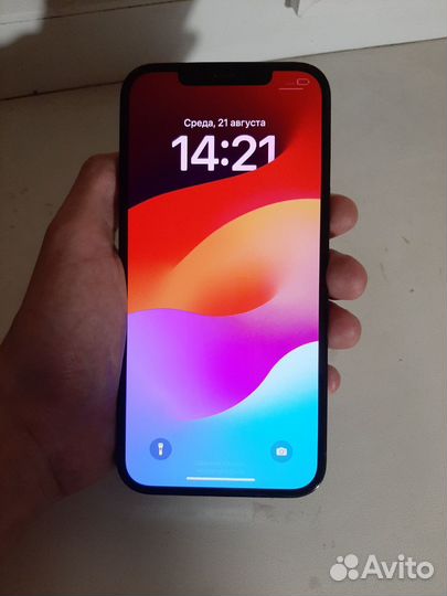 iPhone 12 Pro Max, 256 ГБ