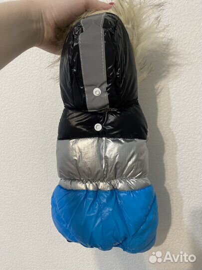 Одежда для собак и кошек