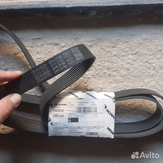 Ремни привода dayco