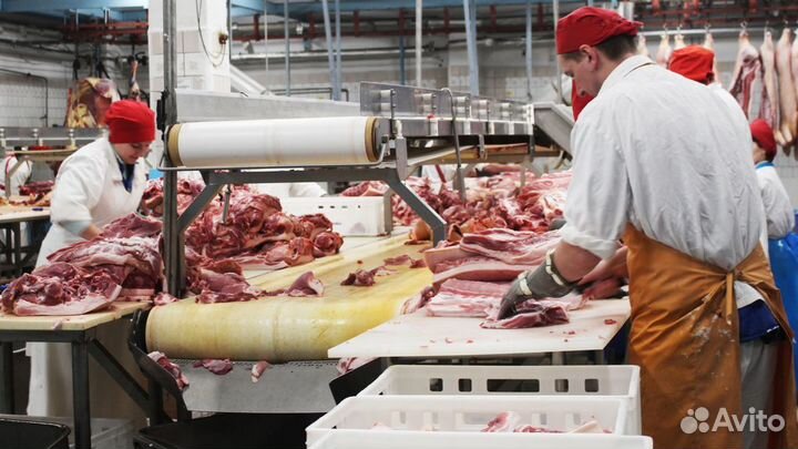 Разнорабочий в цех убоя. Бесплатное проживание