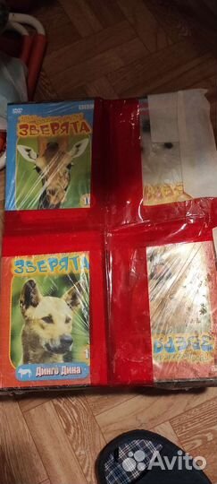 Мультфильмы и фильмы про животных