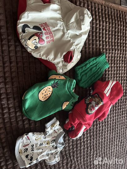 Одежда для маленьких собак