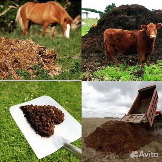 Навоз-Перегной коровий-Торф