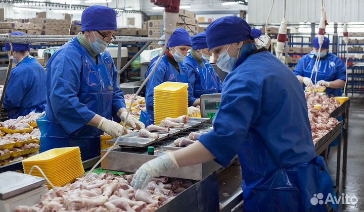 Разнорабочий на упаковку курятины Вахта с питанием