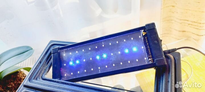 Аквариум 30 литров