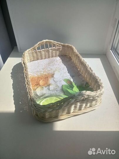Поднос из лозы