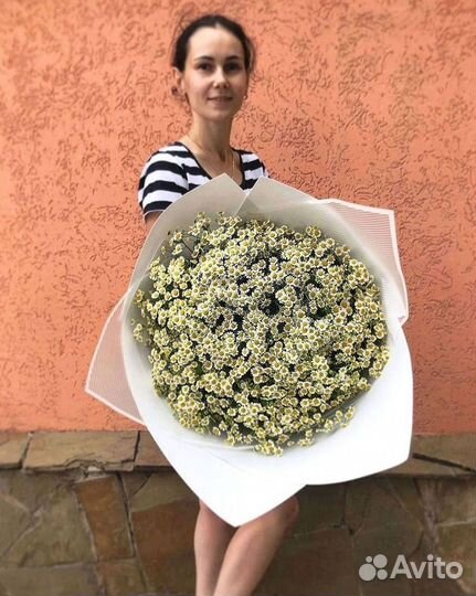 Ромашки букет