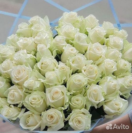 Высокие розы Гигантские розы с доставкой