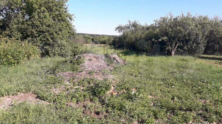 Участок 40 сот. (ИЖС)