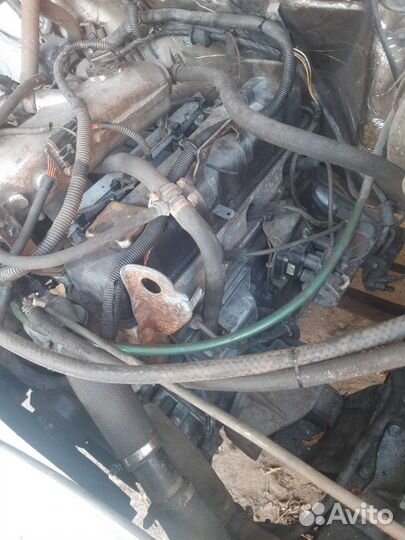 Умз 4216 47 евро 4