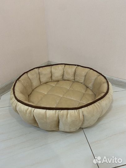 Лежанки разных цветов