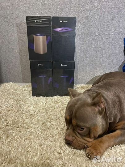 Умная колонка Яндекс Станция 2, новые, все цвета