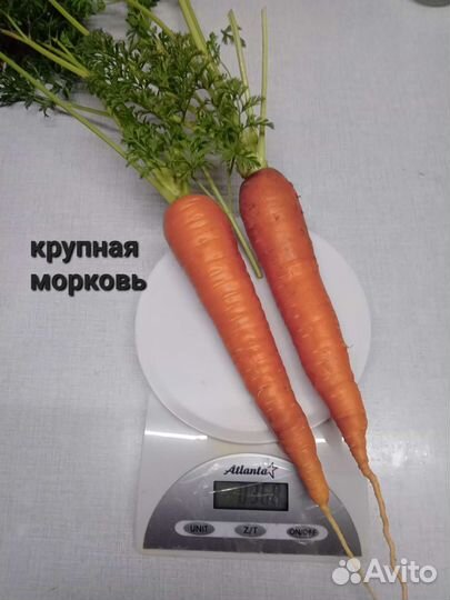 Помидоры, овощи