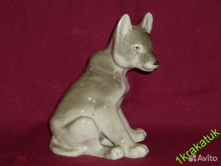 Волк, волчонок. лфз. редкость