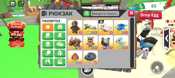 Петы адопт ми