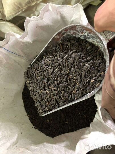 Семечки подсолнечника в мешках